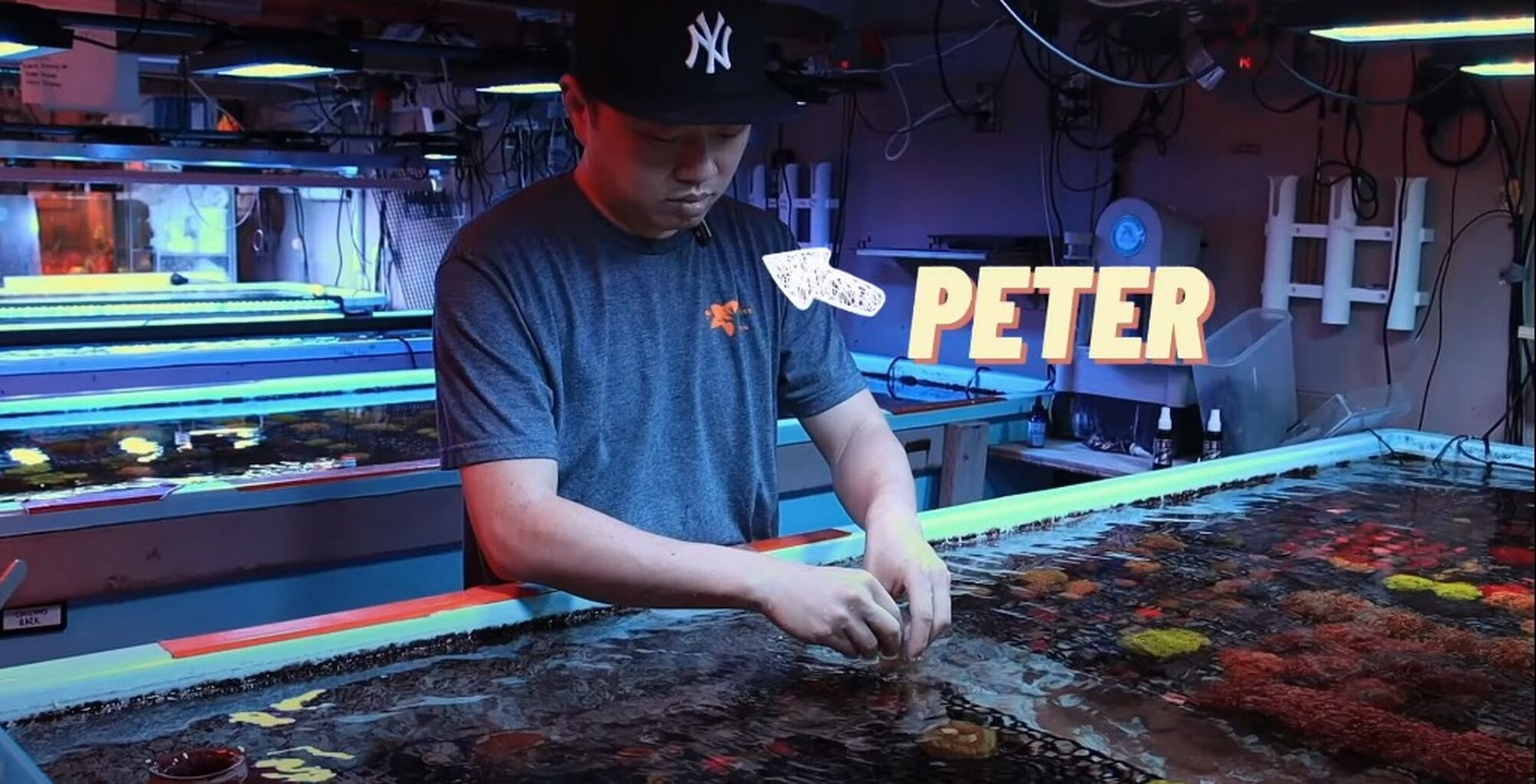 YouTube: Come Pack Corals with Us