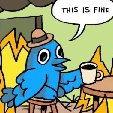 Twitter, minhas opinioes e pensamentos