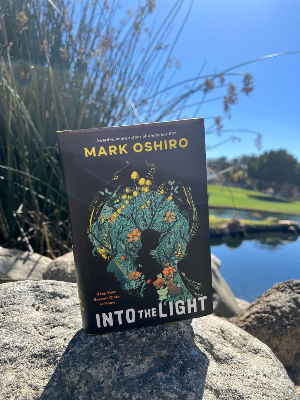 Grab your copy of Into the Light