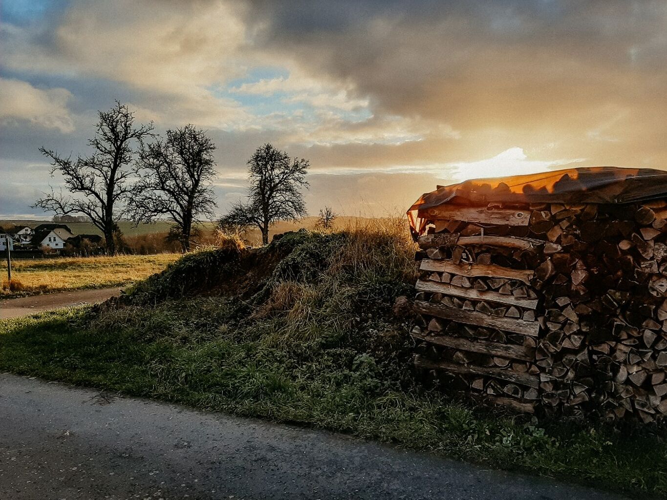 Gipperath wood, Vulkaneifel