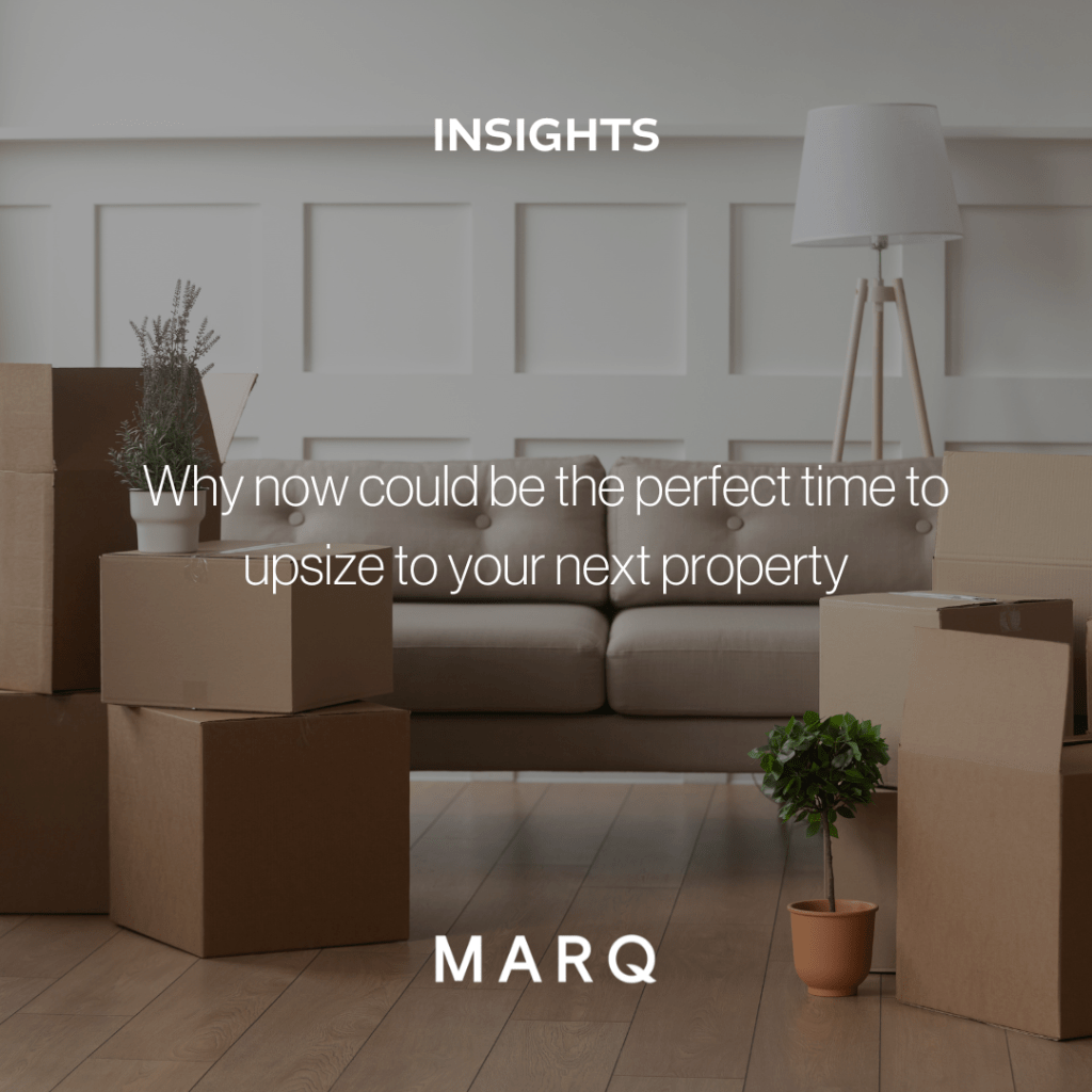 MARQ Insights