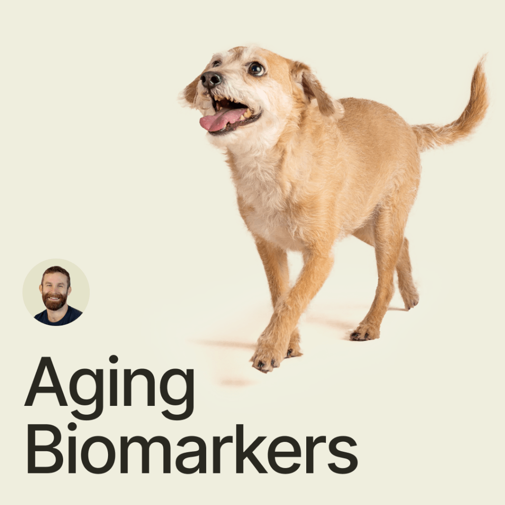 You and your dog share similarities in your blood: Exploring markers of aging￼