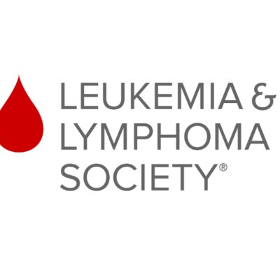 IG Link 3/31/23 - LLS Visionaries Fundraising Page