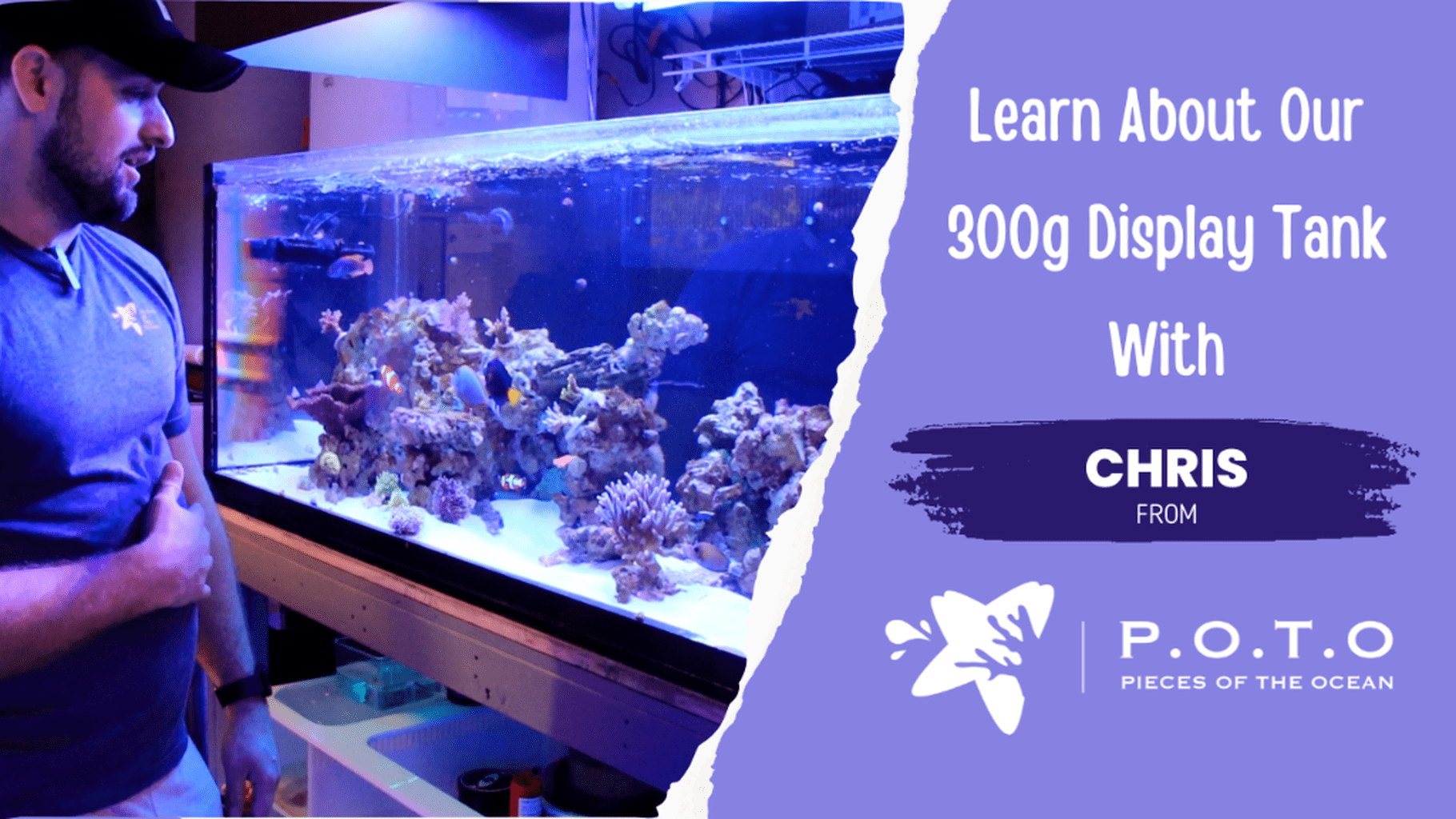 Chris Introduces Our New 300-Gallon Display Tank