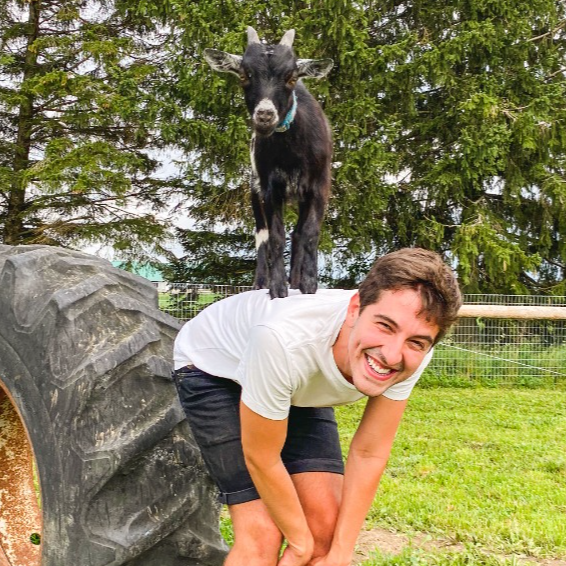 Udderly Ridiculous Farm Life