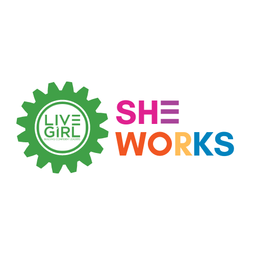 SHE WORKS- for mentors, students and employers