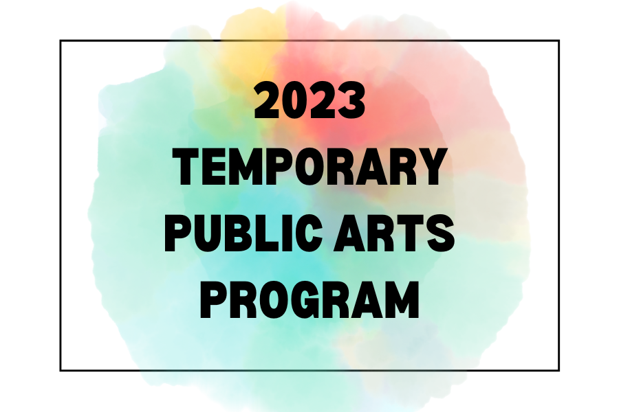 Temporary Public Arts Program