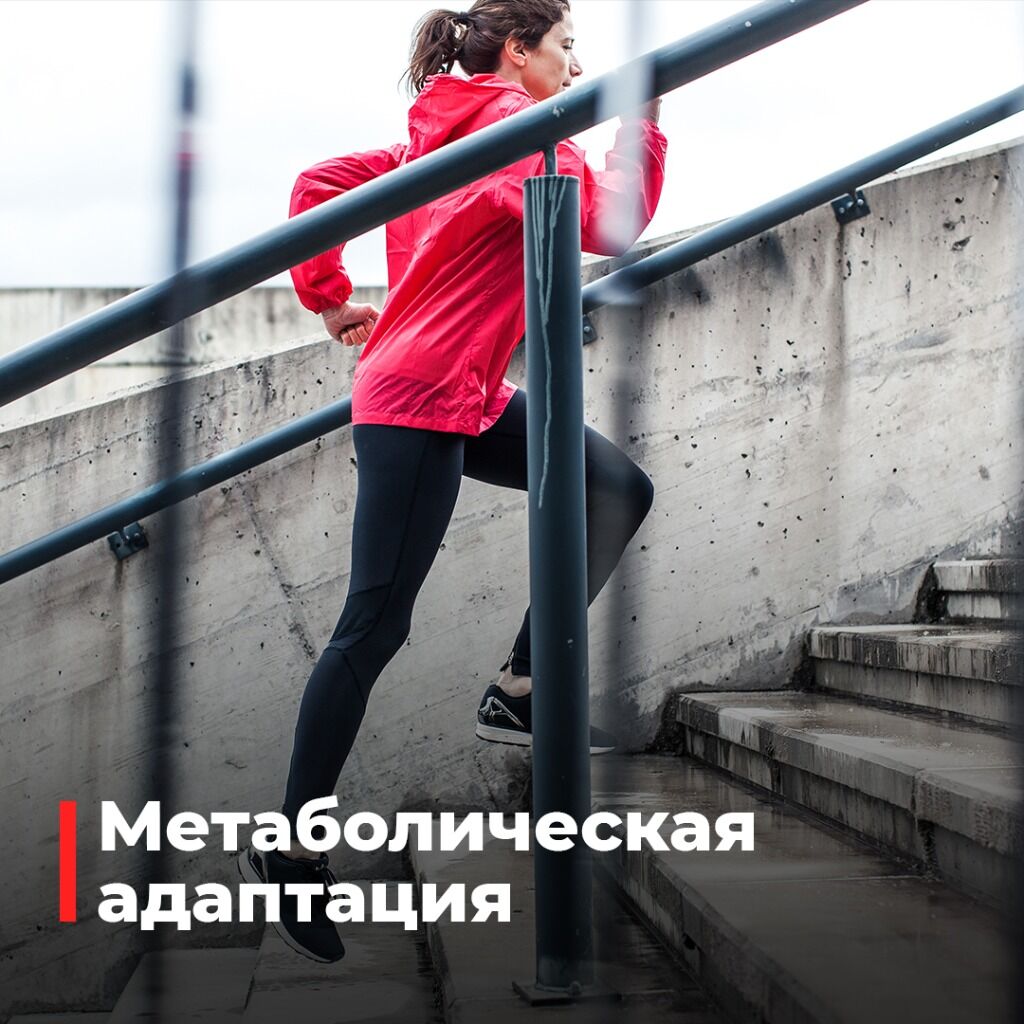 адаптация