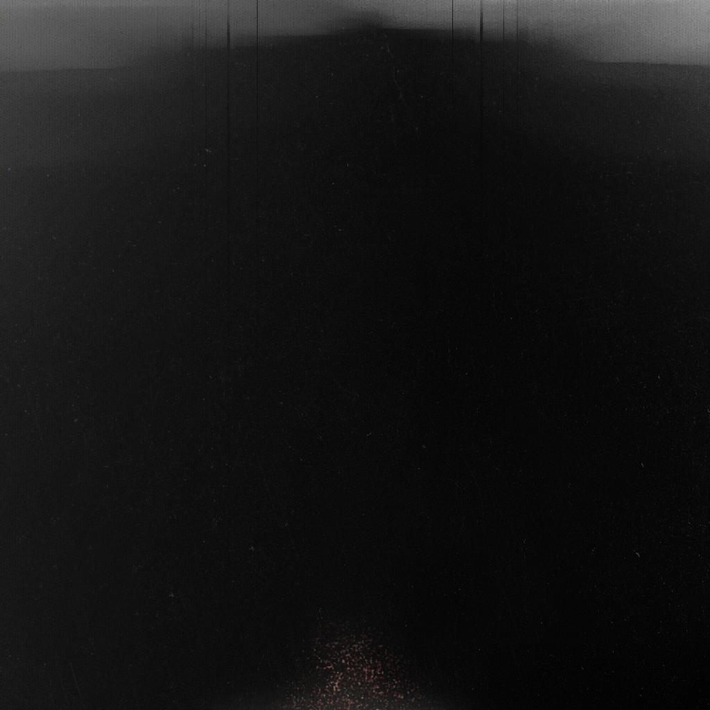 A Shimmer in the Murk