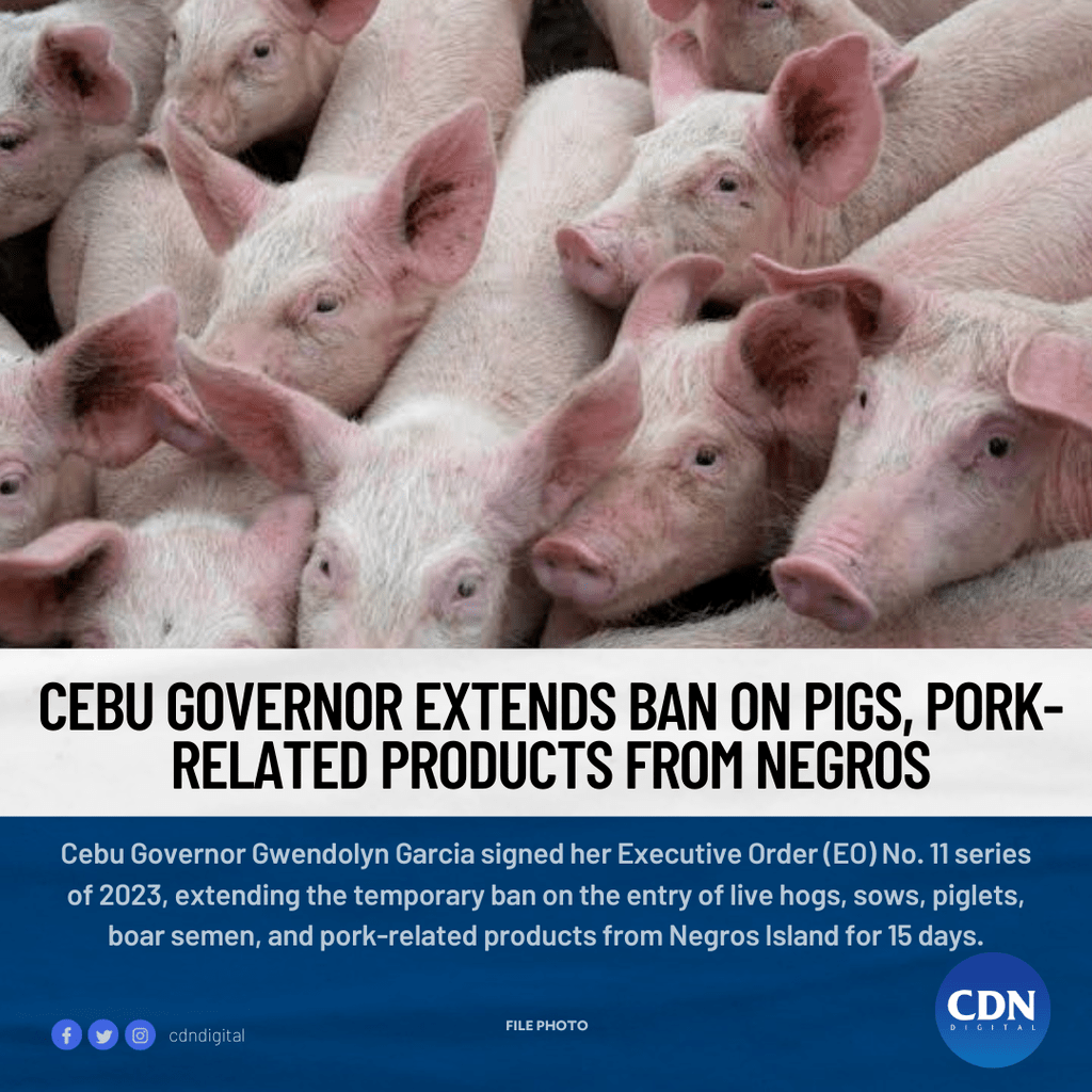 Gwen bans pork in Negros