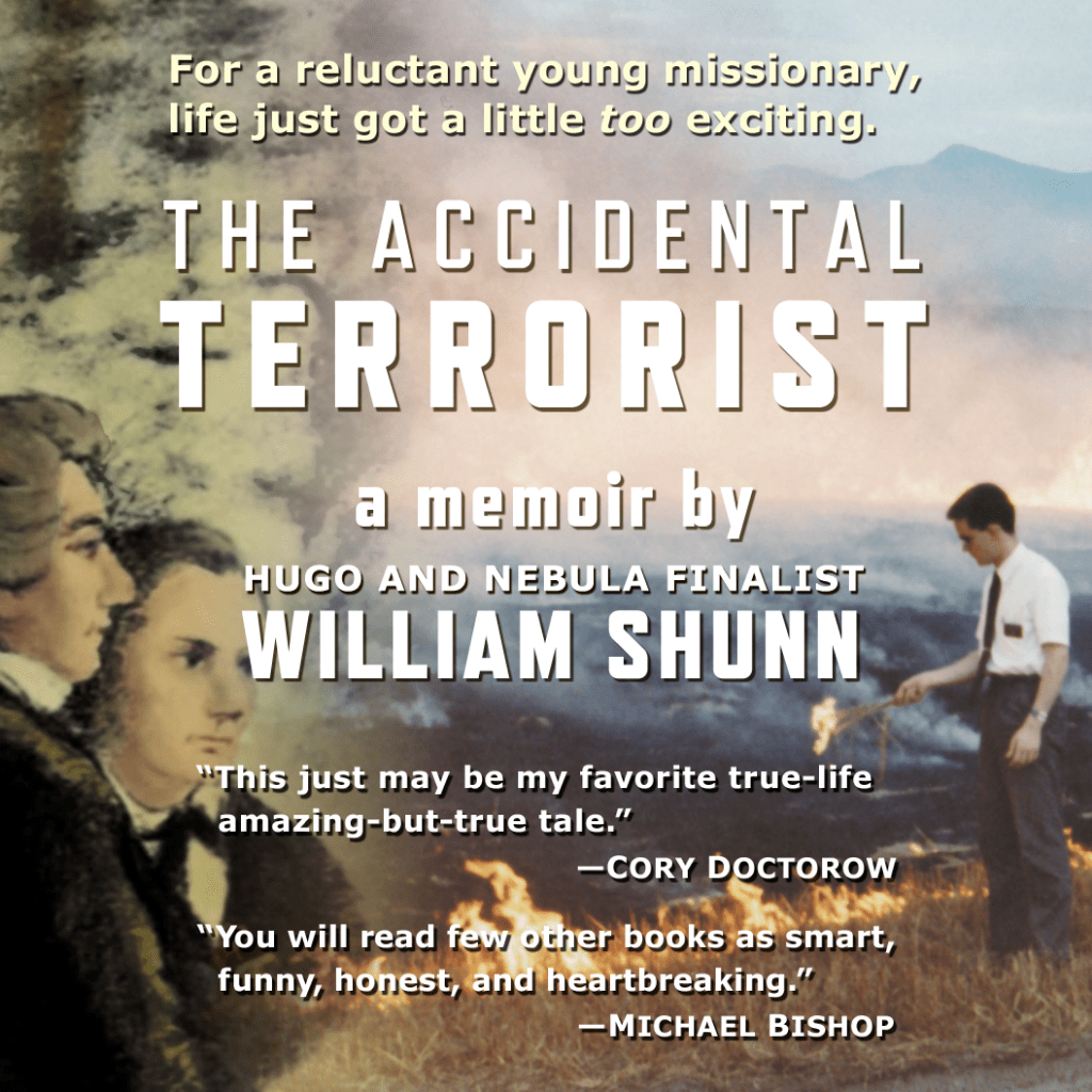 The Accidental Terrorist at Bookshop.org