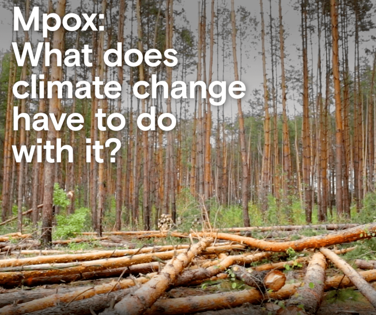 Mpox & Deforestation 