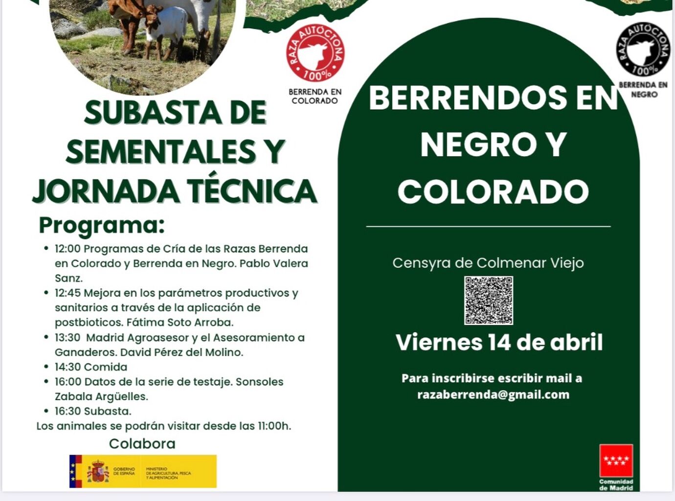 Subasta de sementales de razas berrendas en el Censyra de la Comunidad de Madrid