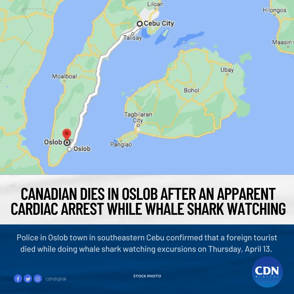 a foreign tourist died while doing whale shark watching excursions