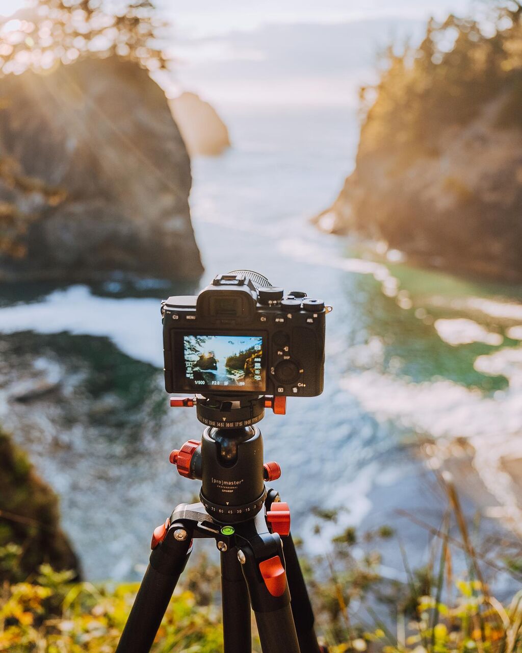 Specialist 528CK Carbon Fiber Tripod