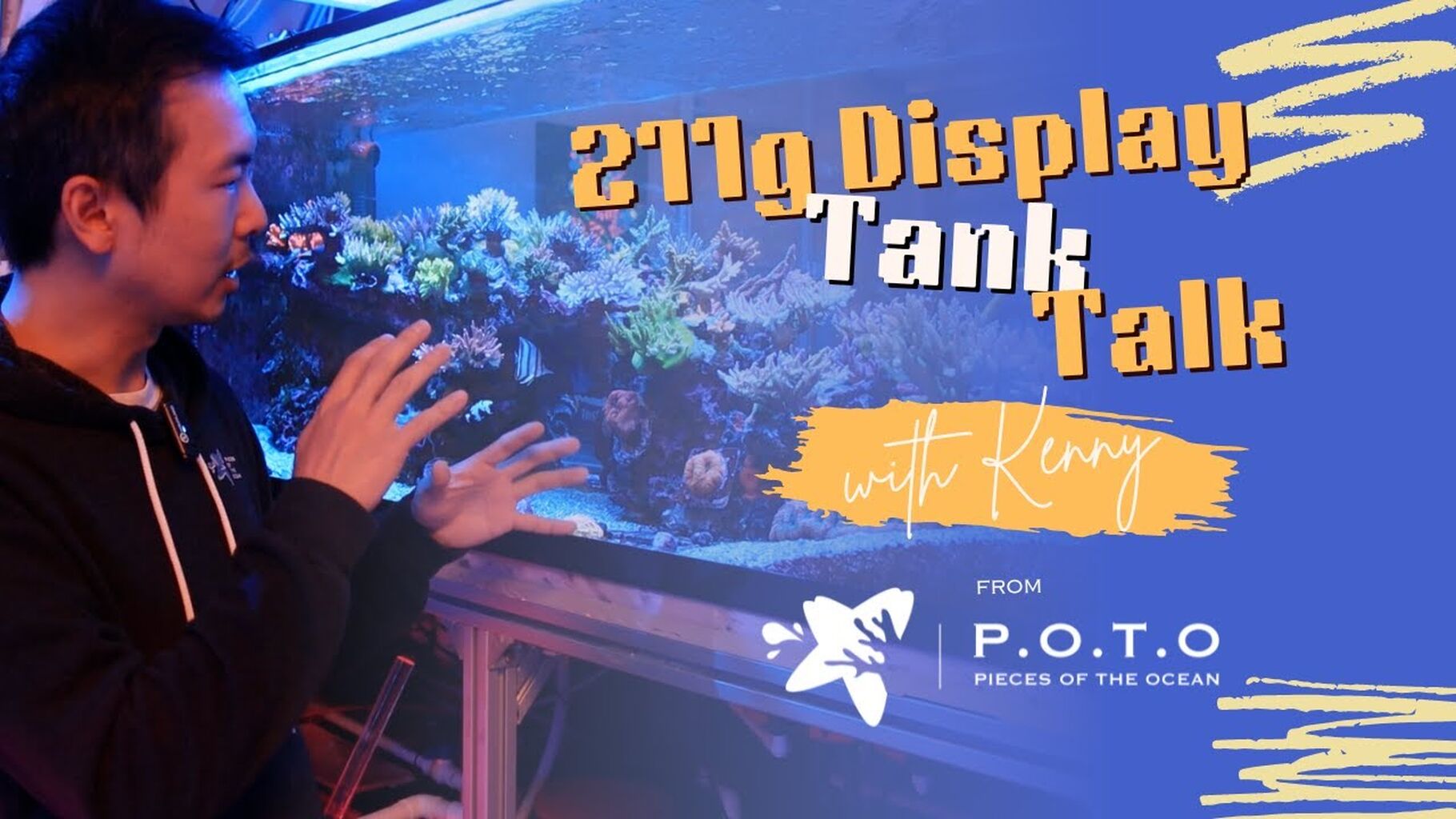 POTO 211-Gallon Peninsular Display Tank