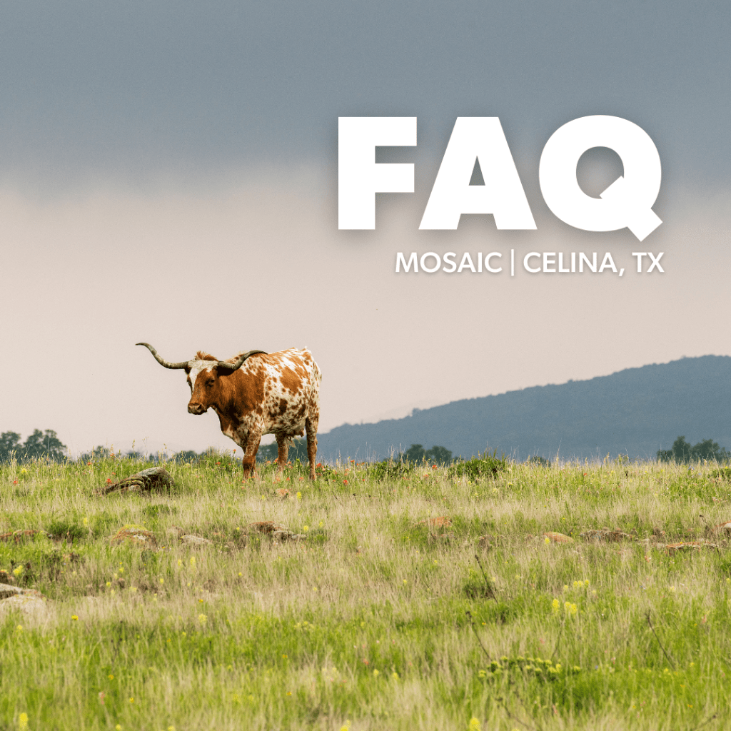 Frequently Asked Questions