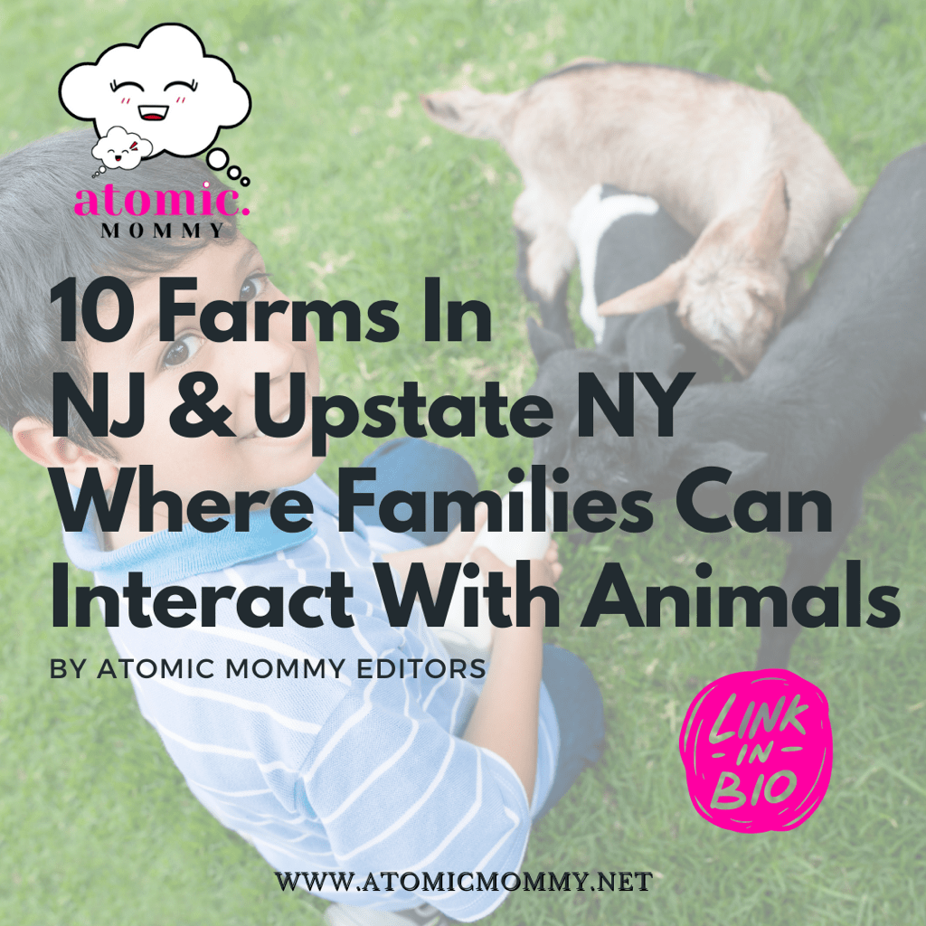 10 Farms In NJ & Upstate NY Where Families Can Interact With Animals