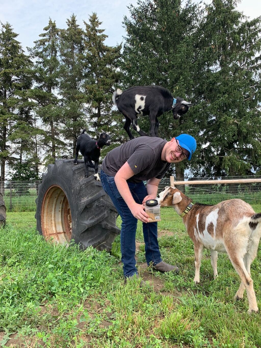 Udderly Ridiculous