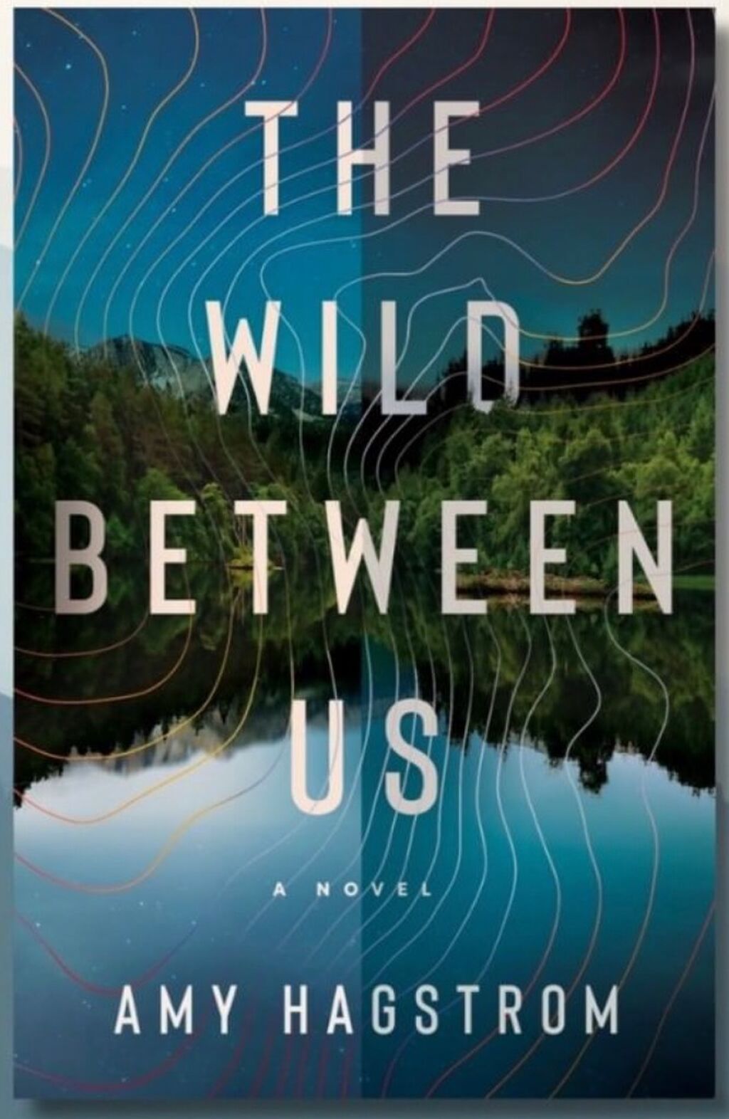 Order THE WILD BETWEEN US by Amy Hagstrom