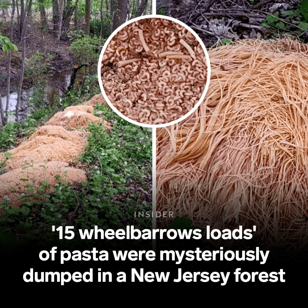 foodinsider Lnk.Bio · link in bio