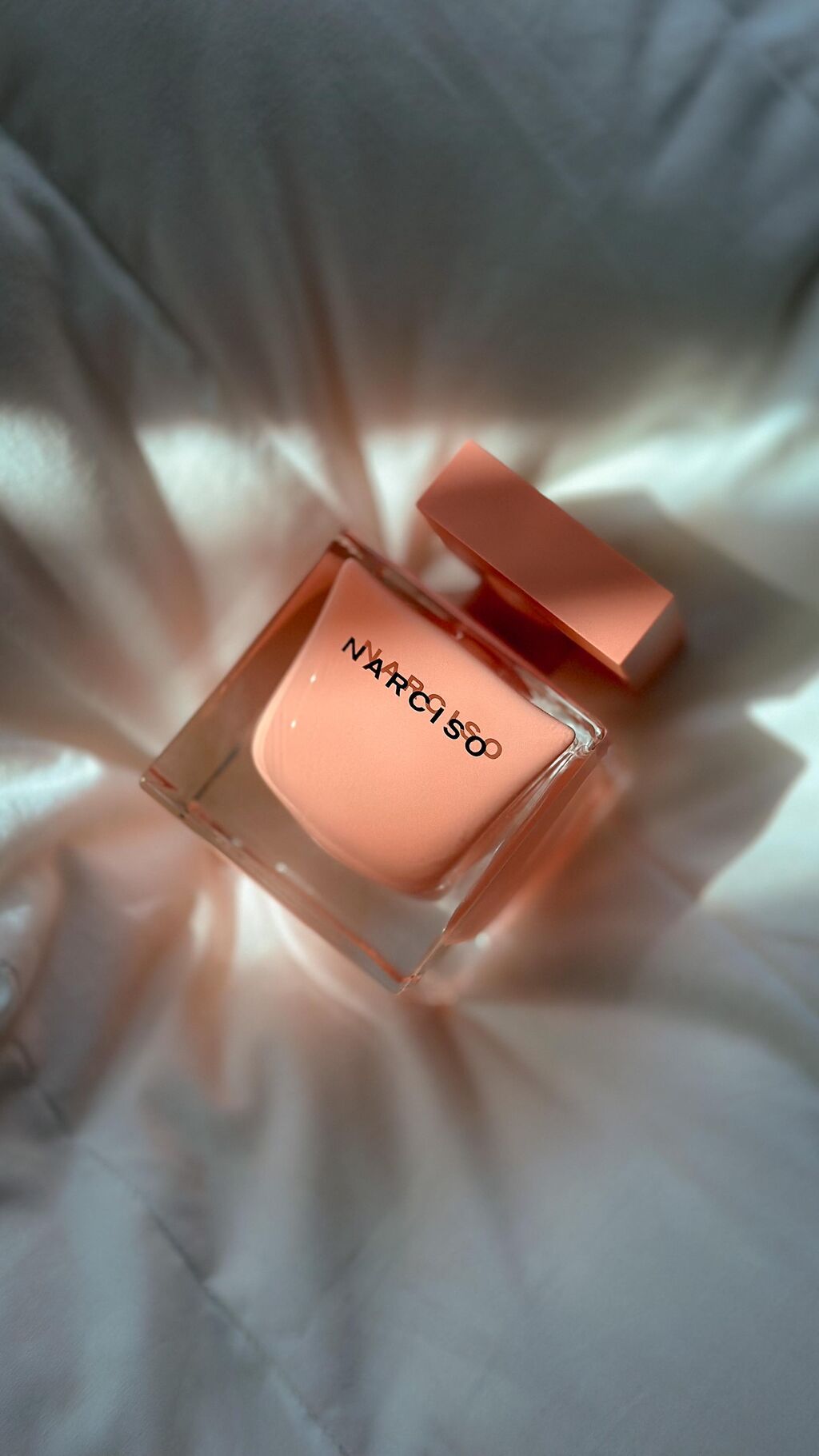 Narciso Rodriguez Ambree