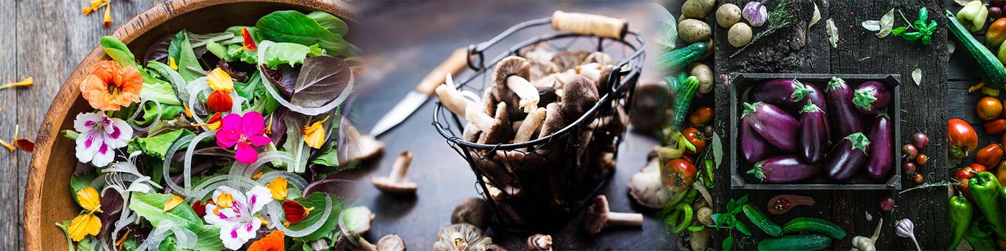 Diploma in Plant-Based Culinary Arts
