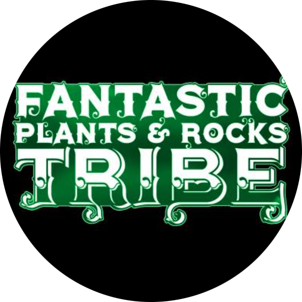 Plants & Rocks