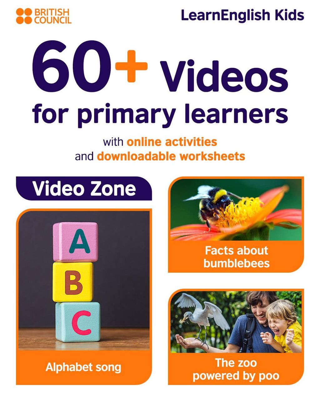 Video zone