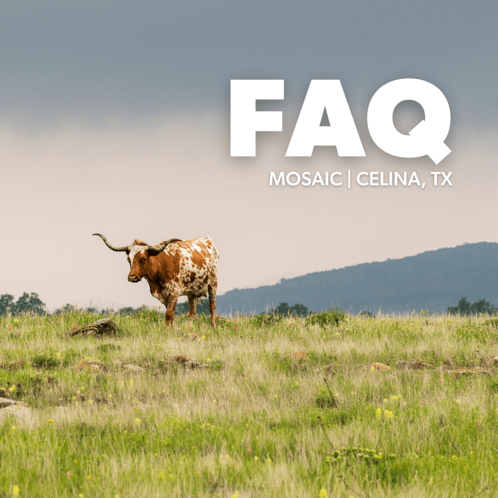 Frequently Asked Questions