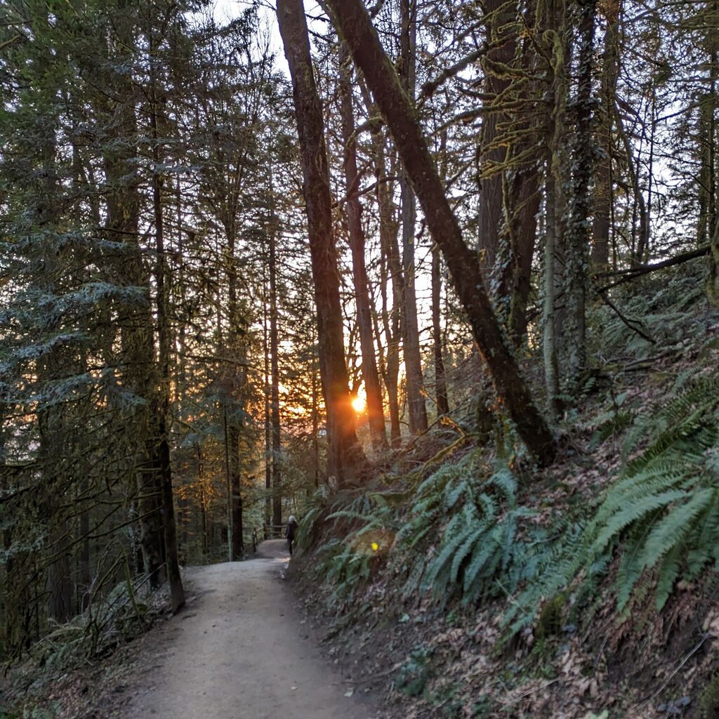 Sunrise Run