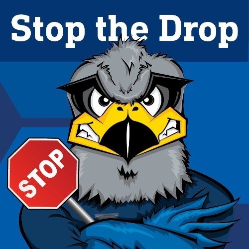 Stop the Drop