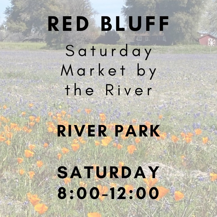 Saturday Market by the River