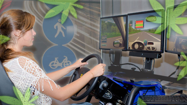 Study: No Correlation Between THC Detection and Driving Impairment