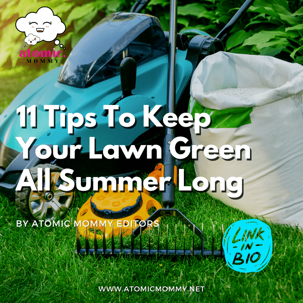 11 Tips On How To Keep Your Lawn Green All Summer Long