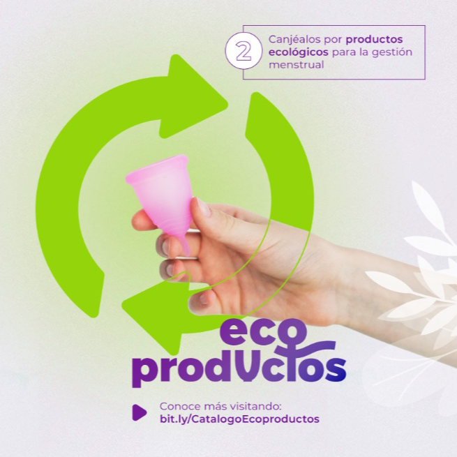 Cat&aacute;logo Ecoproductos 
