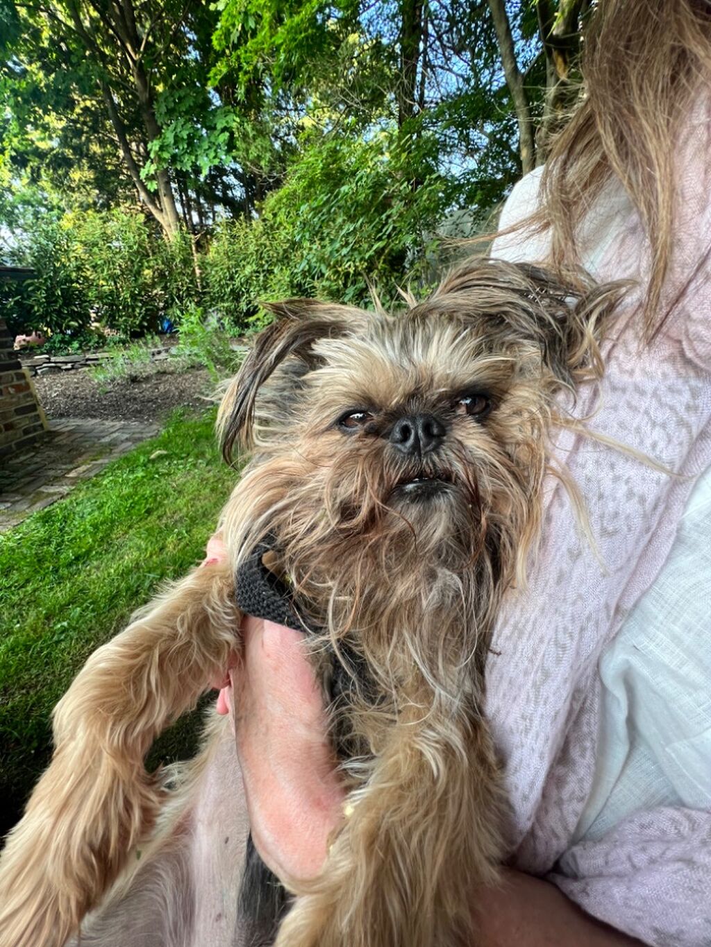 My Rescue Pup