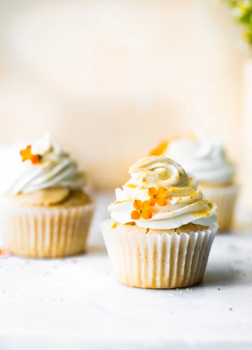 Vegan + gluten free cupcakes 
