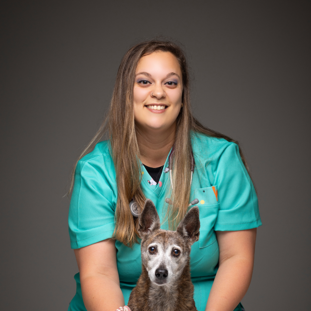 Asesoramiento veterinario