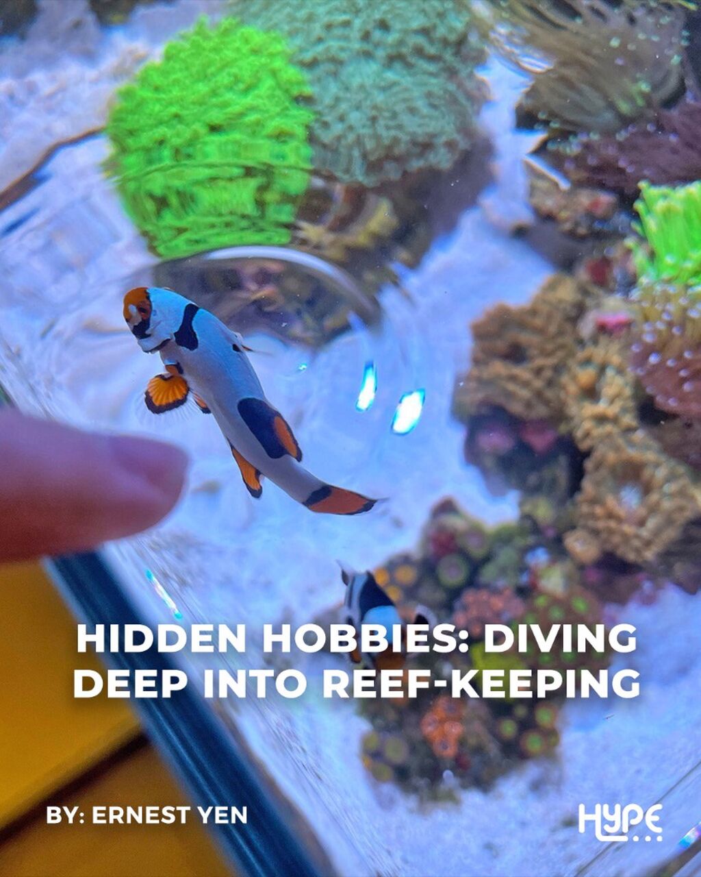 Hidden Hobbies: Diving Deep into Reef-Keeping