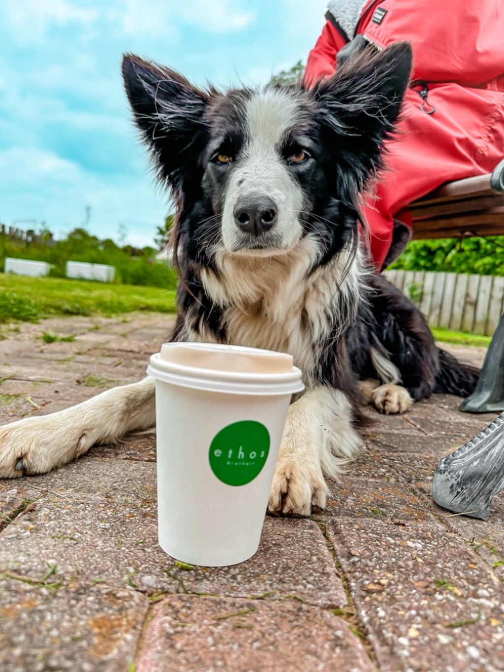 Fancy buying me a coffee? ☕