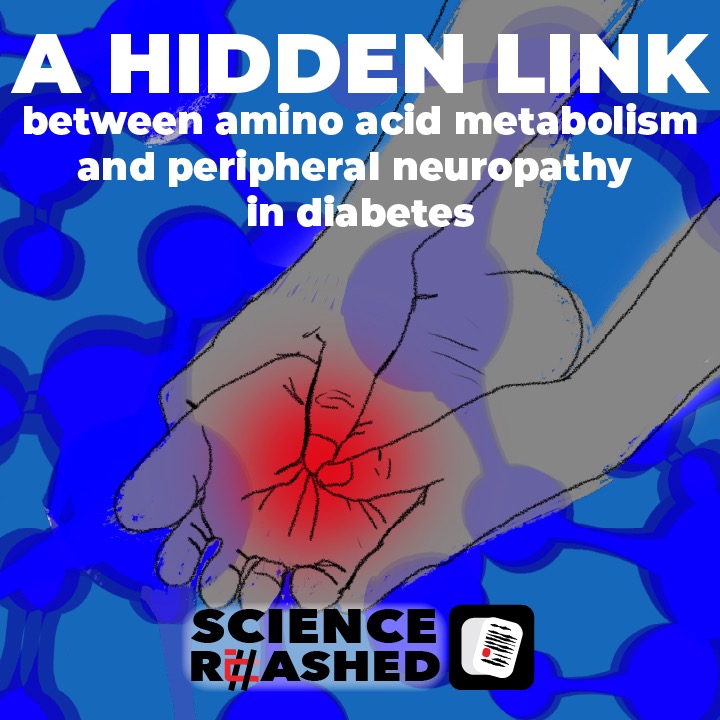53.A hidden link between amino acid metabolism and peripheral neuropathy in diabetes