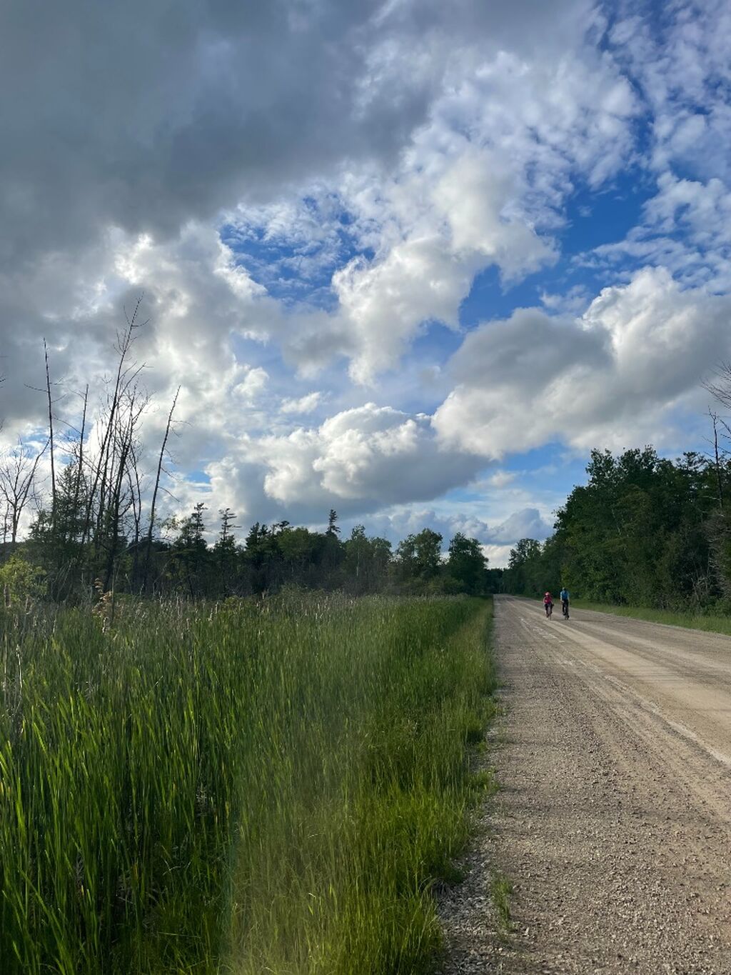 Ontario by Bike