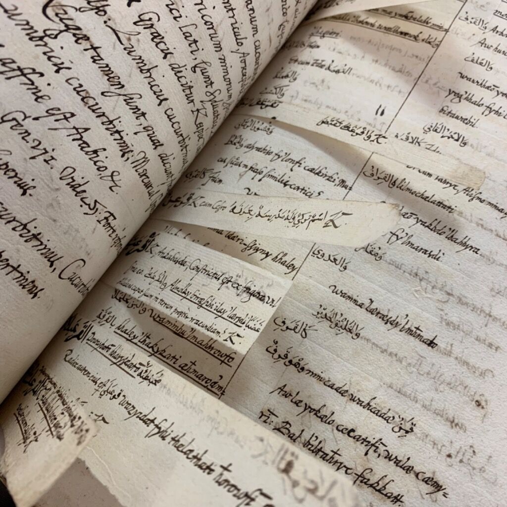 &lsquo;Thousands of little loose papers without any order at all&rsquo; - Cambridge University Library Blog Post