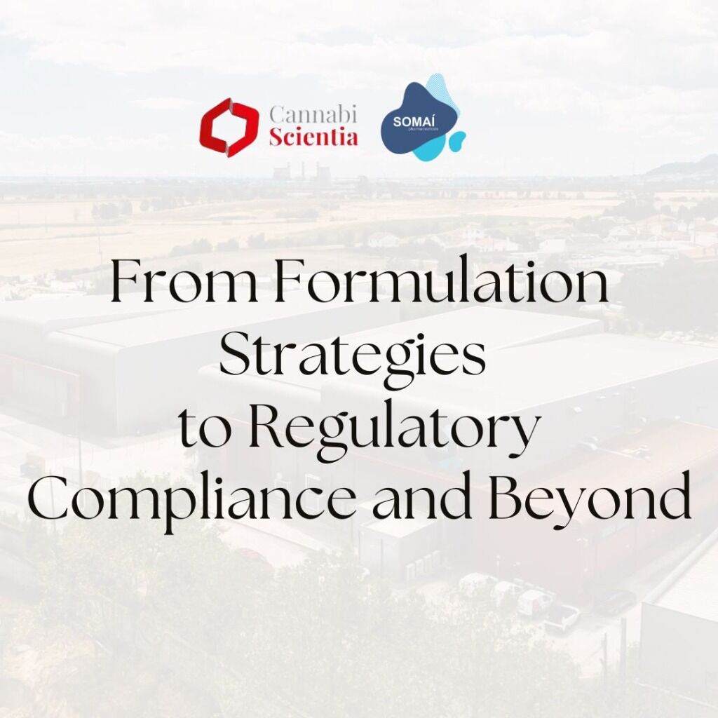 From Formulation Strategies to Regulatory Compliance and Beyond
