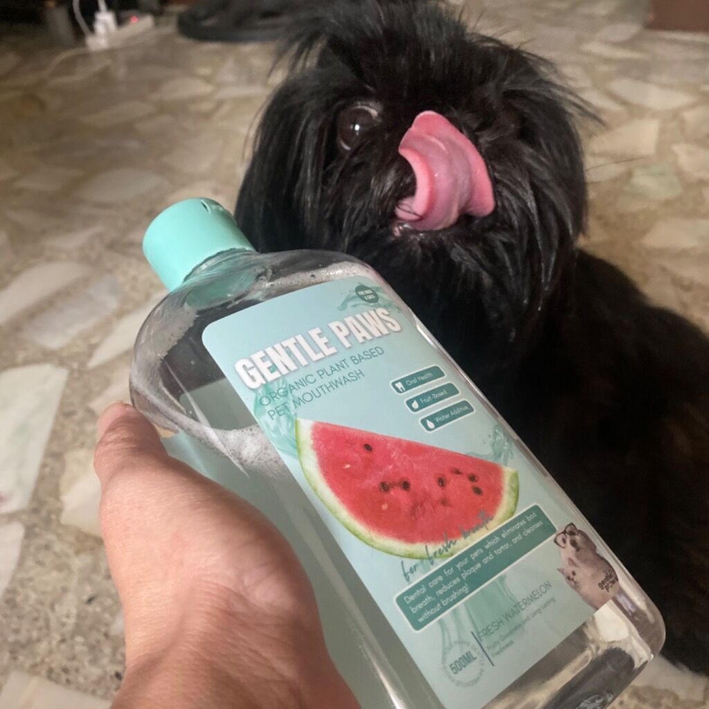 Gentle paws mouthwash