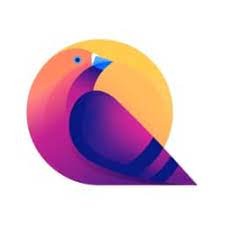 Quantum Pigeon: Social Engagement Reinvented