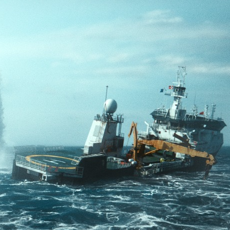 The Swarm VFX Breakdown