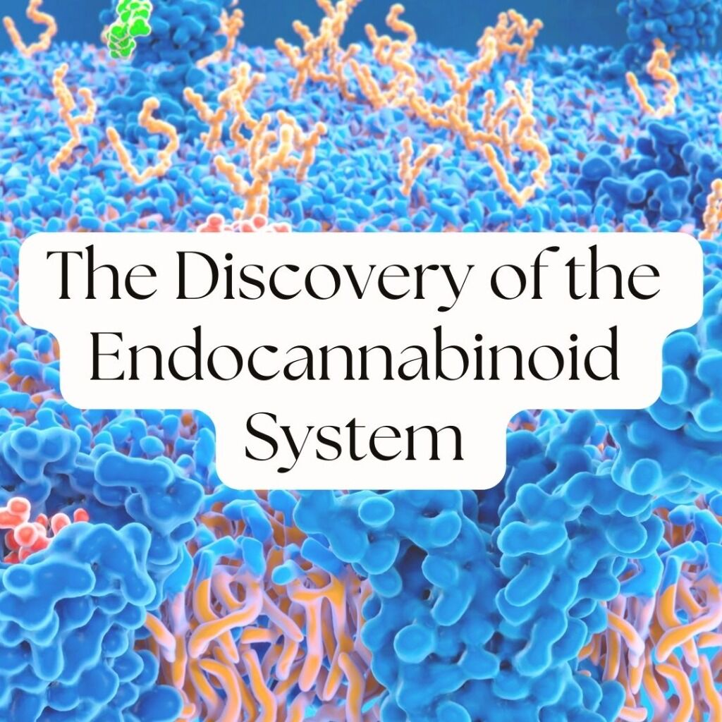 SOMA&Iacute; presents: The Discovery of the Endocannabinoid System by Cannabiscientia
