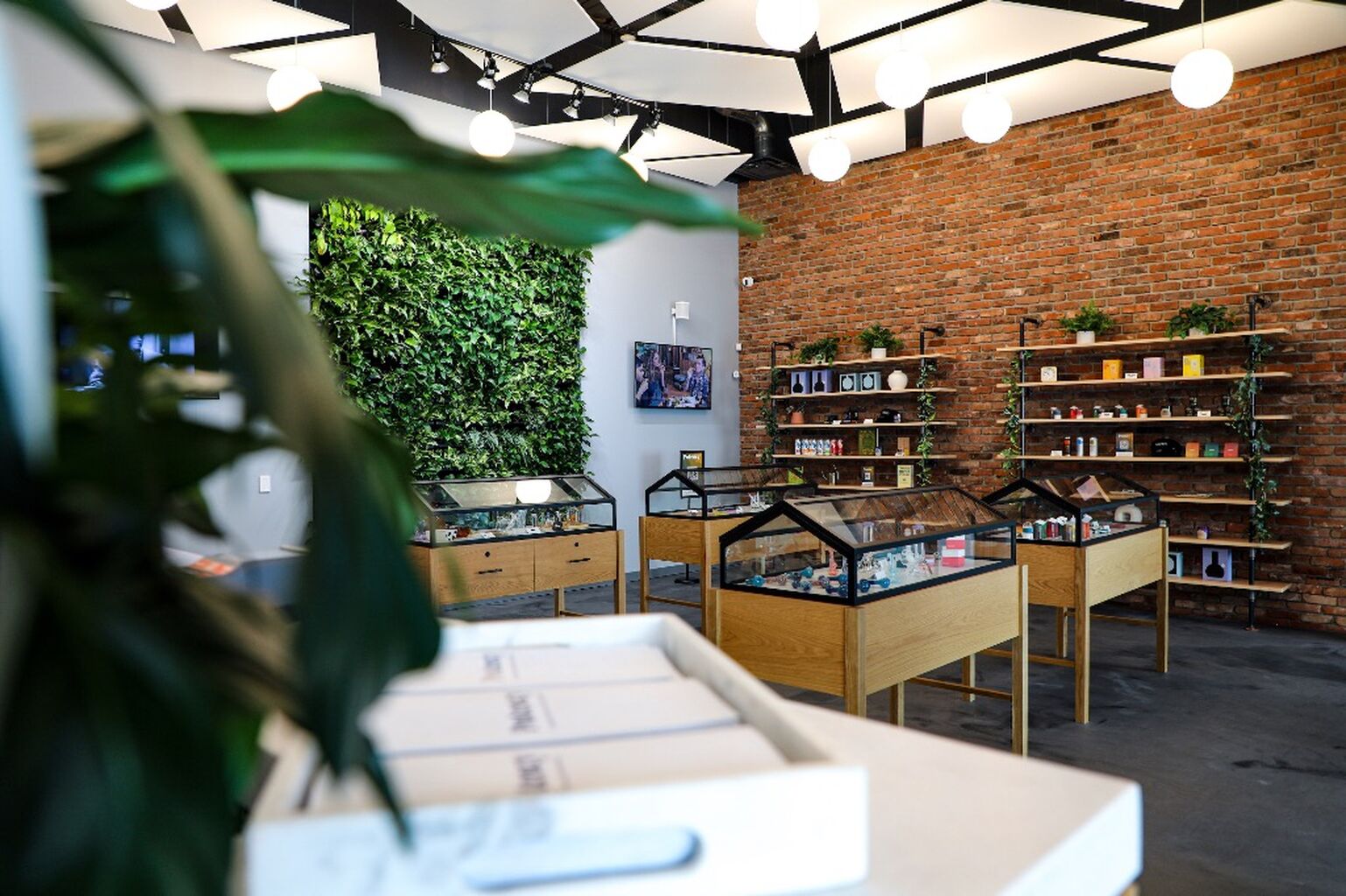Marijuana dispensary Potency opens in Pittsfield
